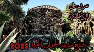 قريبًا.. موعد افتتاح حديقة الحيوان بمصر في عام 2026 وأسعار تذاكر الدخول لمختلف الزائرين